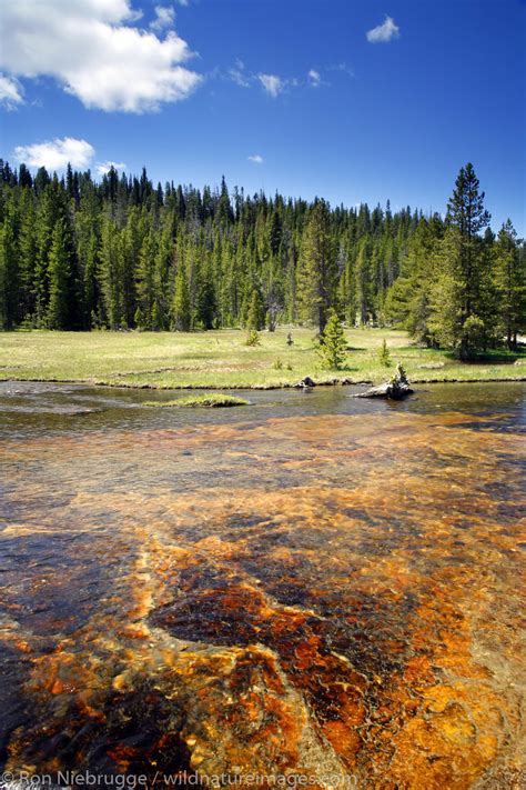 Firehole River | Photos by Ron Niebrugge