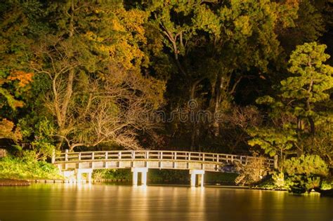 Autumn Night in the Japanese Garden Stock Image - Image of dusk, outdoors: 286742095