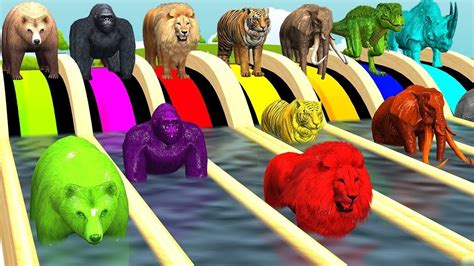 Learn Wild Animals Swimming Race In Outdoor Playground For Kids - Color Animals Water Slide ...