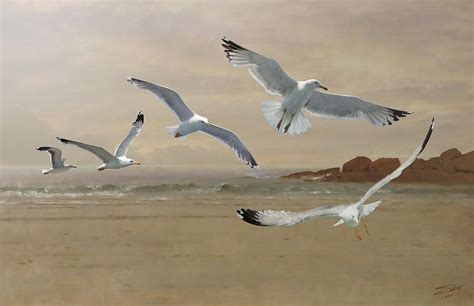 Seagulls Flying Along the Beachfront by M Spadecaller in 2021 | Seagulls flying, Beach painting ...