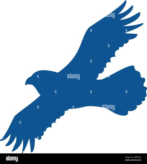 eagle flying on white background Stock Vector Image & Art - Alamy