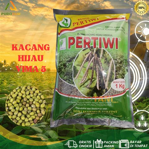 Jual Benih Kacang Hijau ijo PERTIWI VIMA-5 1 KG