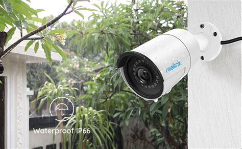 Weatherproof Security Cameras: Top 2 Outdoor Picks & 4 Essentials You Should Know – Reolink Blog