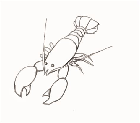 Lobster drawing, Drawings, Baby drawing