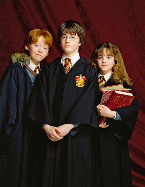 Portrait of Ron Weasley, Harry Potter and Hermione Granger — Harry Potter Fan Zone