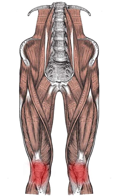 Patellofemoral Pain Syndrome: Symptoms, Causes and Treatment