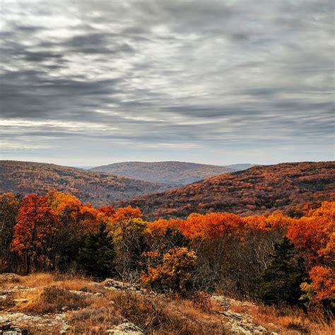 Fall colors in Missouri, Taum Sauk Mountain [3000x3000] [OC] : EarthPorn