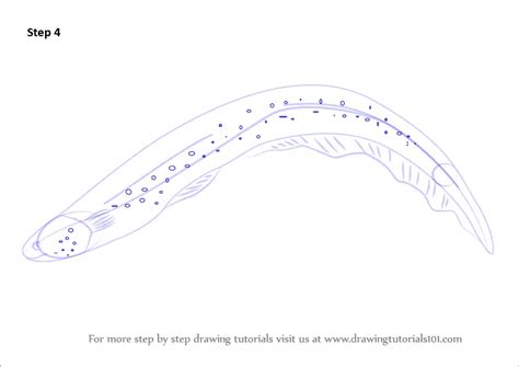 Learn How to Draw an Electric Eel (Fishes) Step by Step : Drawing Tutorials