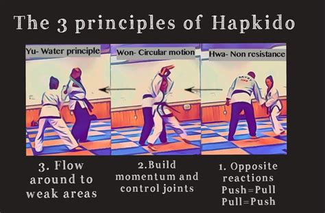 Hapkido - HMD Academy