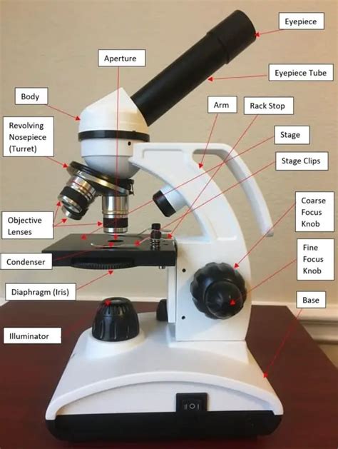 16 Parts of a Compound Microscope: Diagrams and Video – Microscope Clarity