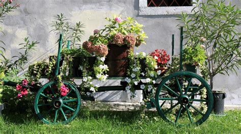 34 Best Wheelbarrow Planter Ideas