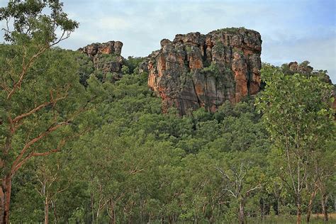 Top 10 Interesting Facts about Kakadu National Park - Discover Walks Blog