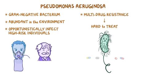 Pseudomonas aeruginosa Treatment: Causes, Symptoms