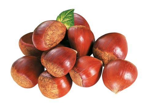 Chestnuts 2017 Fresh Chinese Chestnuts with High Exporting Quality ...