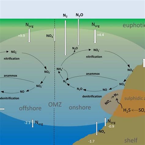 (PDF) Water column biogeochemistry of oxygen minimum zones in the eastern tropical North ...