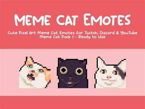 Cute Cat Meme Aww - vrogue.co