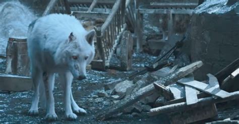 Inside the ‘Game of Thrones’ Ghost farewell scene | Inquirer Entertainment