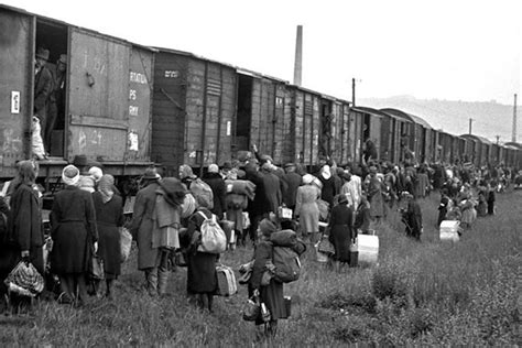 Auschwitz Transports from Hungary