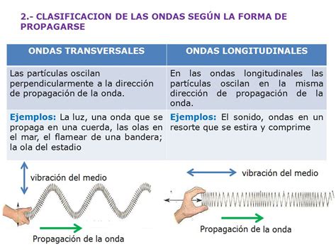 Relacion Entre Ondas Transversales Y Longitudinales - canrifintotanin’s blog