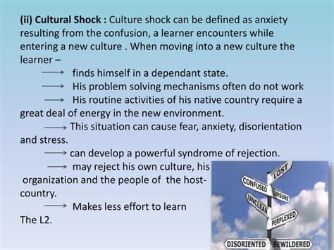 Acculturation model