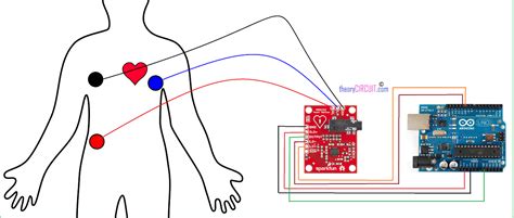 Ecg Monitoring With Ad Ecg Sensor And Arduino Off | The Best Porn Website