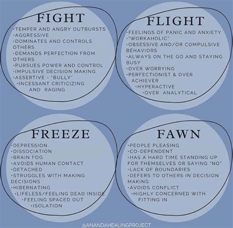 Fight Flight Freeze Examples | Images and Photos finder