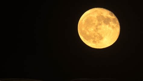 Yellow Moon, Awesome Yellow Moon, #26295