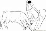Spain Madrid Bullfight Coloring Page  Free Bull Pages sketch template