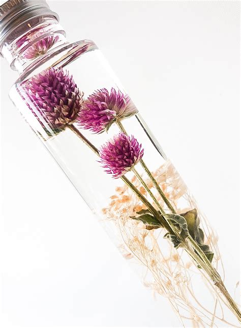 "Amaranth Globe X" Botanical Keepsake - En Flor