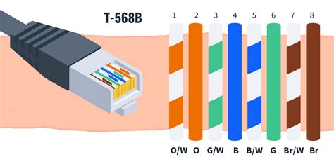 TIA/EIA T568A Versus T568B Belcom Cables, 42% OFF