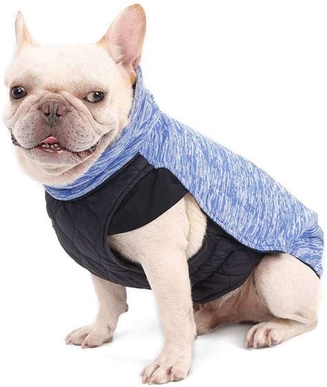 Top 6 French Bulldog Coats/Jackets For Winter.