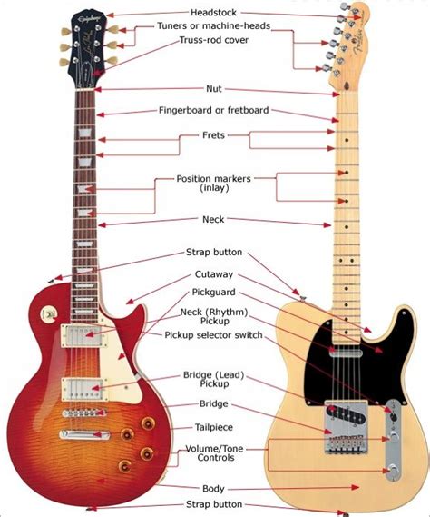 guitar anatomy | Electric guitar, Music theory guitar, Acoustic guitar