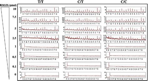 Pyrosequencing protocol requiring a unique biotinylated primer ...