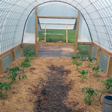 Diy Cattle Panel Greenhouse Plans - Greenhouses Diy