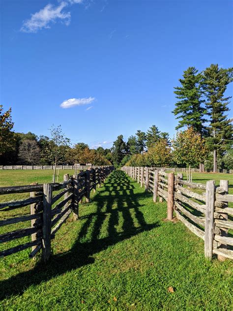 Maintaining the Allées at My Farm - The Martha Stewart Blog