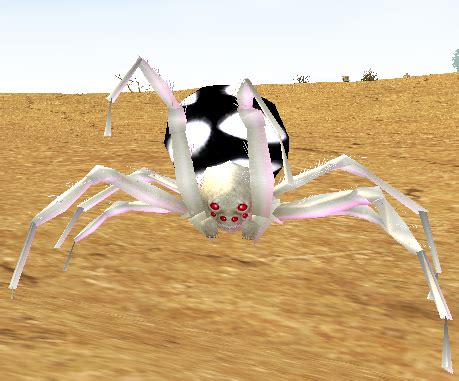 Collect 5 White-spot Desert Spider Venom Sacs - Mabinogi World Wiki