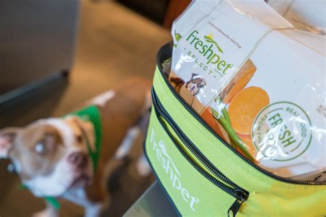 Freshpet Dog Food Review: An Easy Way to Feed Your Pet Fresh Food