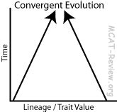 Evolution - MCAT Review