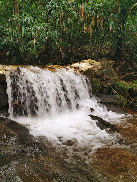 Thommankuthu Waterfalls - ايدوكي: Working hours, Activities, Visitor ...