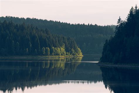 Nature Photography Ore Mountains, Saxony | Nils Leonhardt