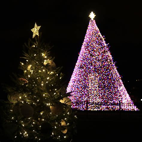 Home - National Christmas Tree Lighting