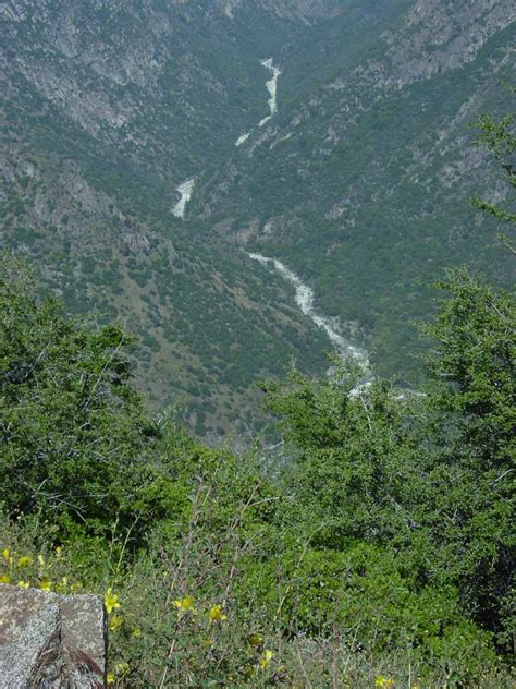 Waterfalls on Kings Canyon Highway (Sequoia National Forest, California, USA)