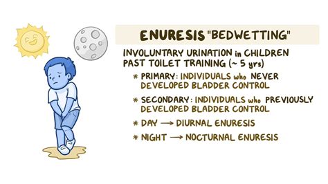 Genitourinary Defects, Disorders, and Infections in the Pediatric Patient - Osmosis Video Library