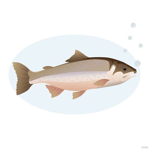 Salmon Fish Vector in Illustrator, SVG, JPG, EPS, PNG - Download | Template.net