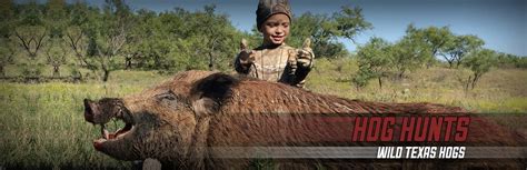 Central Texas Wild Hog Hunts | Guided Pig Hunting Ranch Close to Austin ...