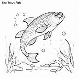 Sea Trout fish Hand drawing coloring Page And Outline Clipart Vector  sketch template