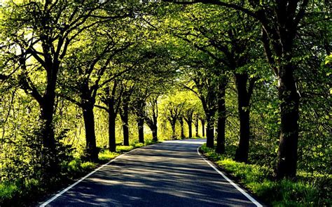 HD Clean,smooth Road Wallpaper | Download Free - 109205