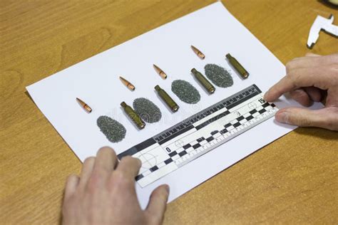 Forensics, Ballistics, Bullets and Cartridge Cases with Forensic Ruler Stock Photo - Image of ...