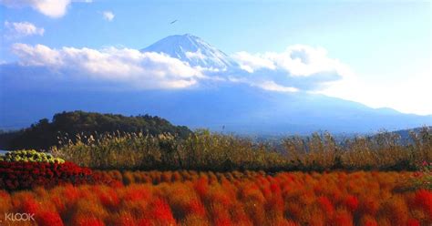 Mt. Fuji and Lake Kawaguchi Scenic Spots Day Tour from Tokyo - Klook US