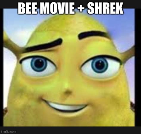 Bee Movie Memes Shrek Funny Memes About Girls | The Best Porn Website